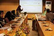 دانشکده مجازی دومین کارگاه توانمندسازی اعضای هیئت علمی دانشکده های داروسازی و پیراپزشکی را برای راه اندازی رشته های مجازی برگزار کرد